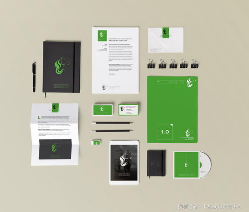 深入解析 商用软件与会员软件的OEM封装及其在软件开发中的意义